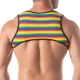 Rainbow TOF Paris Harness