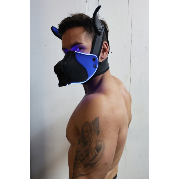 Poundtown Pup Breedwell Maschera nero-blu