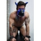 Poundtown Pup Breedwell Maske Schwarz-Blau