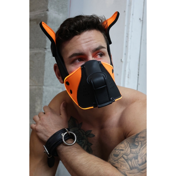 Poundtown Pup Breedwell Maske Schwarz-Orange