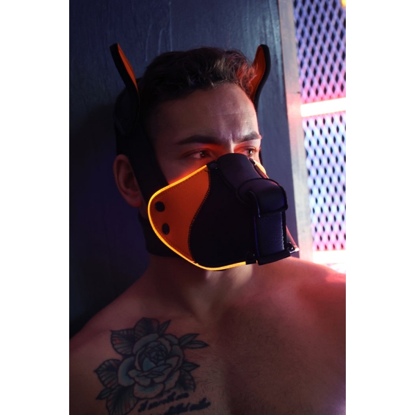 Poundtown Pup Breedwell Maschera nero-arancio