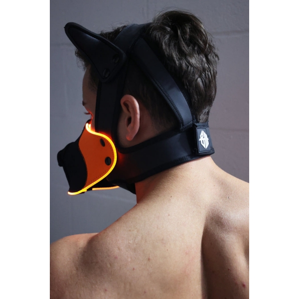 Poundtown Pup Breedwell Maske Schwarz-Orange