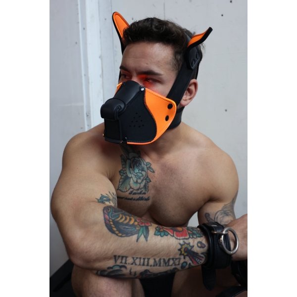 Poundtown Pup Breedwell Maske Schwarz-Orange