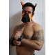 Poundtown Pup Breedwell Maschera nero-arancio