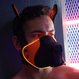 Breedwell Poundtown Pup Rasmasker Zwart-Oranje