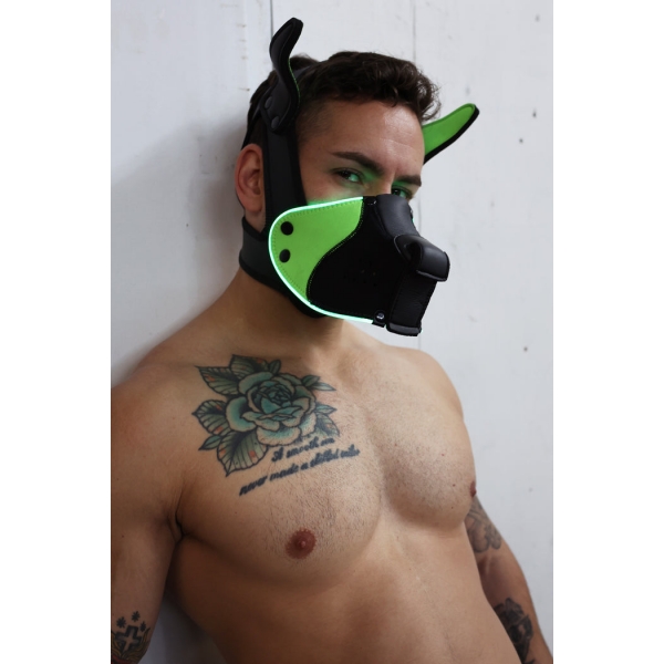 Máscara Poundtown Pup Breedwell Preto-Verde