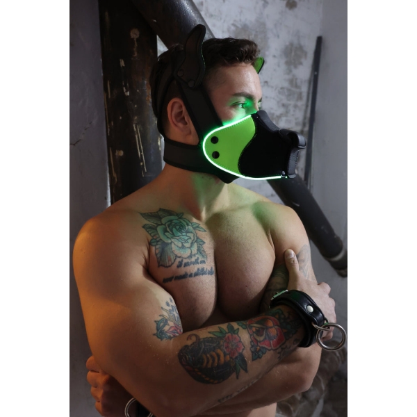 Poundtown Pup Breedwell Maschera nero-verde