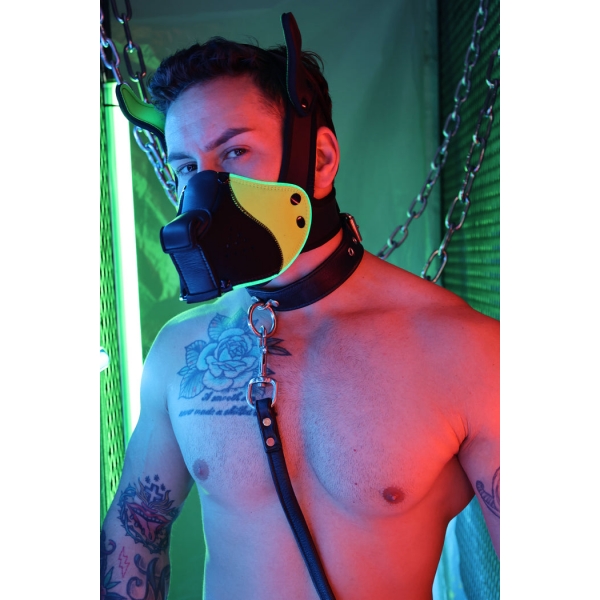 Poundtown Pup Breedwell Maske Schwarz-Grün