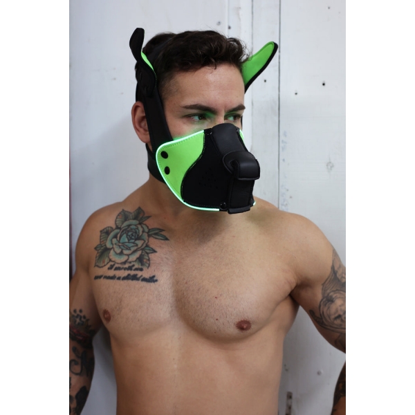 Poundtown Pup Breedwell Maschera nero-verde