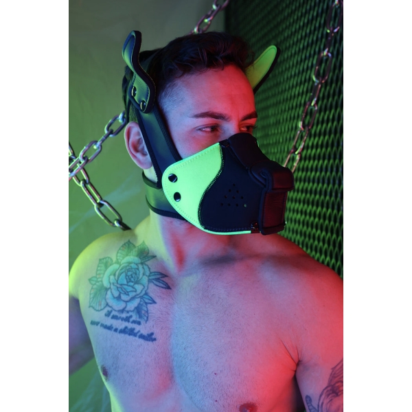 Poundtown Pup Breedwell Maske Schwarz-Grün