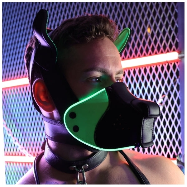 Poundtown Pup Breedwell Mask Black-Green