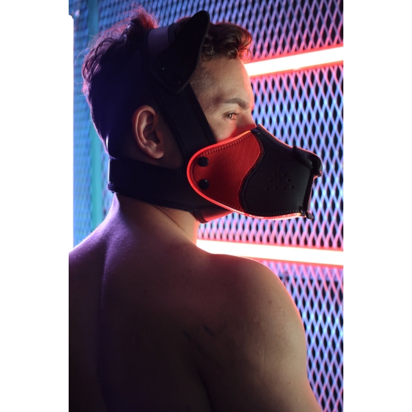 Poundtown Pup Breedwell Maske Schwarz-Rot