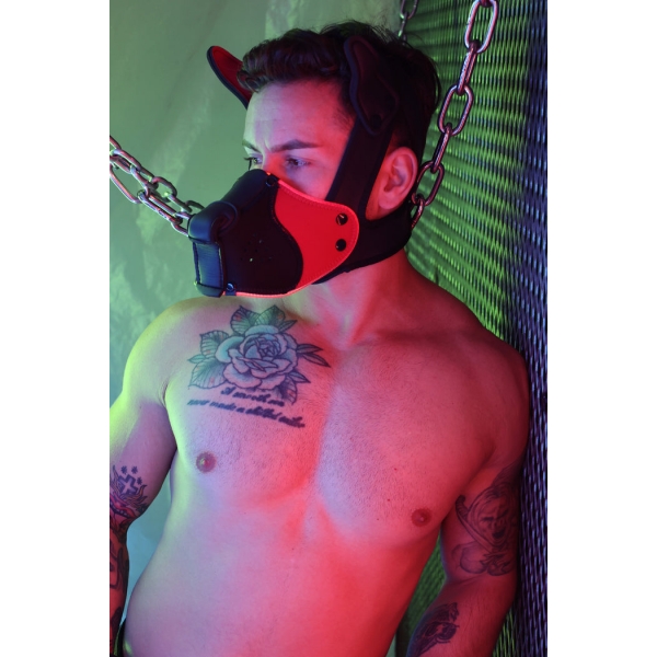 Masque Poundtown Pup Breedwell Noir-Rouge