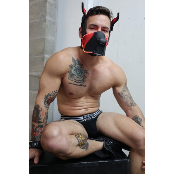 Masque Poundtown Pup Breedwell Noir-Rouge