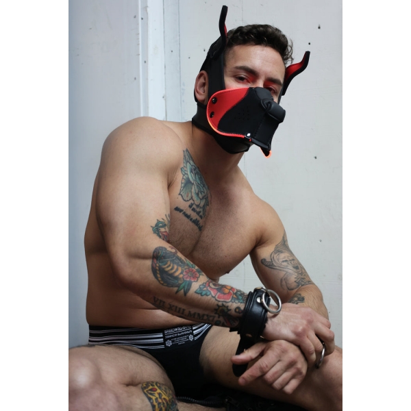 Poundtown Pup Breedwell Mask Black-Red