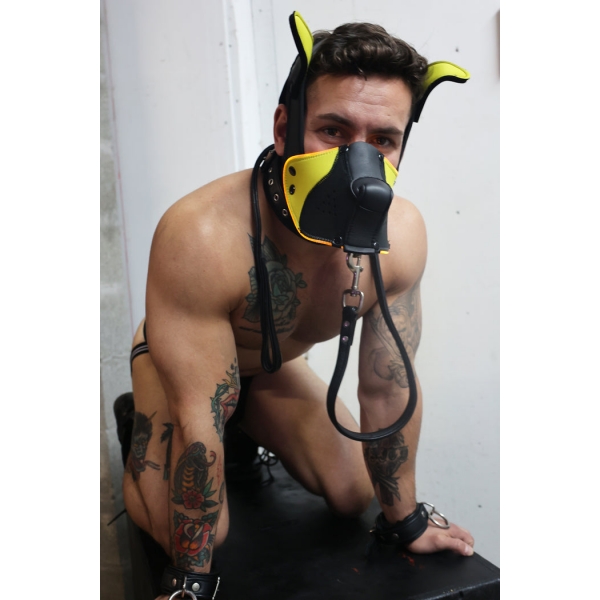 Poundtown Pup Breedwell Maske Schwarz-Gelb