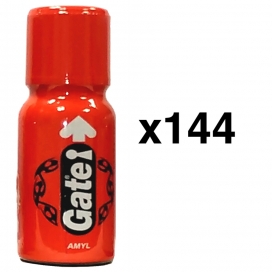 Men's Leather Cleaner GATE 15ml x144