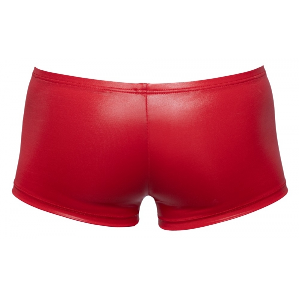 Boxer Terio Rosso