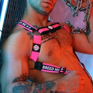 Breedwell SNAX BODY HARNESS Neon Pink