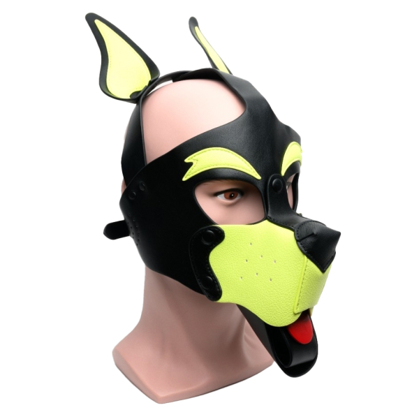 665 Playful Pup Hood Black/Yellow