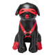 Chien en Simili Bandit 24cm Noir