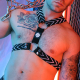 Dickmatized Harness Black-White