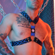 Dickmatized Harness Black-Blue