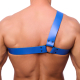 Half Blue Leather Harness