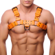 Bulldog Orange leather harness