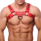 Snap Leather Harness Red