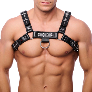 The Red Harness Black leather harness