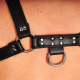 Premium black leather harness