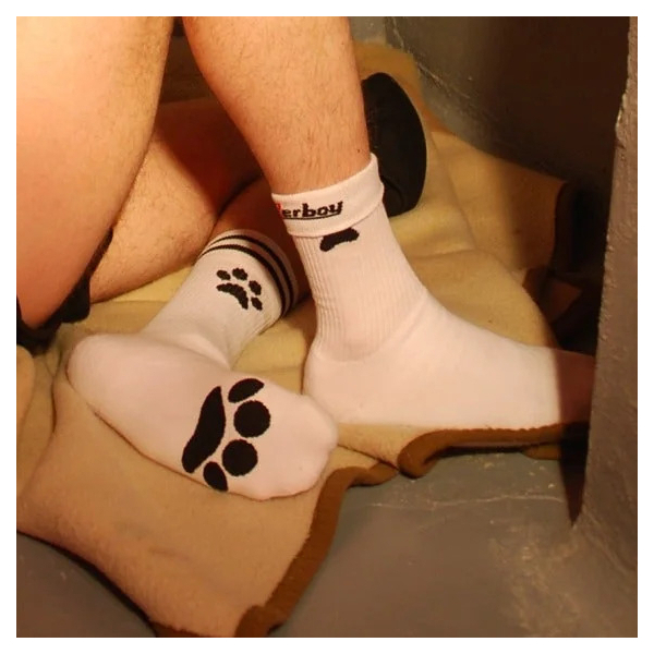 Socks Puppy Sk8terboy