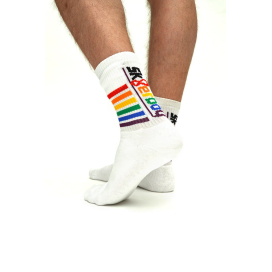 Chaussettes Socks Pride Sk8terboy