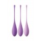 Kit d'entrainement Kegel Violet