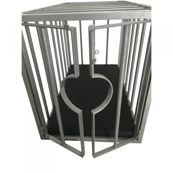 Removable metal BDSM cage