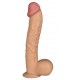 Dildo LEGENDARIO 27 x 6 cm Sedia