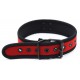 Neoprene Puppy collar RED