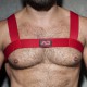 AD FETISH Basic Elastic Harness Red