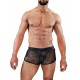 ROMAN Shorts Black