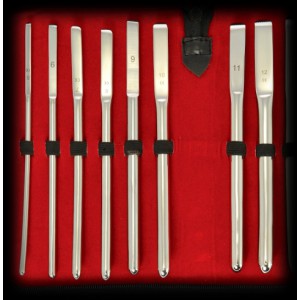 Stainless Steel Set of 8 rods for urethra 5 to 12mm