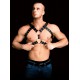 Andreas Ouch Harness